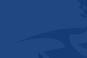 官方公告 | 青岛国信制药完成2025-2026赛季国内球员注册